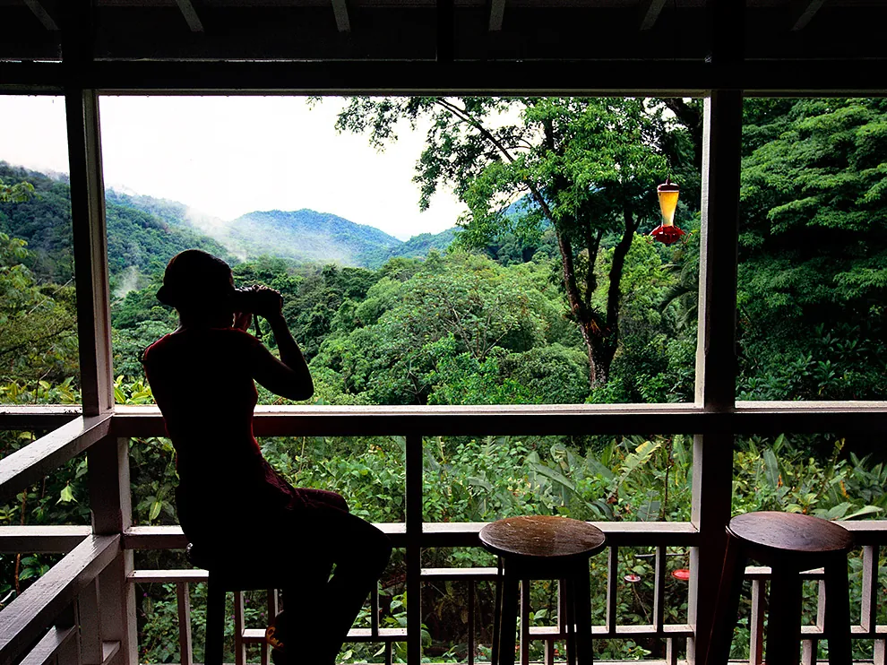 Persona observando aves con prismáticos desde la veranda, frente al bosque