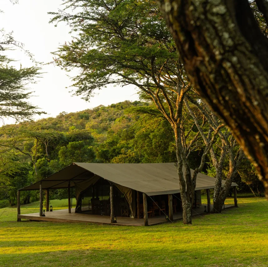 Enkopiro Camp's main tent among acacia trees in the Maasai Mara
